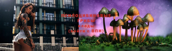 амф Арсеньев