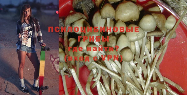 индика Балахна