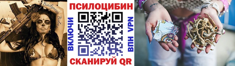 Псилоцибиновые грибы Psilocybe  Учалы 
