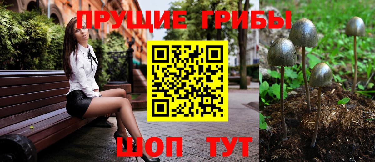 Галлюциногенные грибы Psilocybe  Псилоцибиновые грибы ЛСД  Вход с VPN  Учалы 
