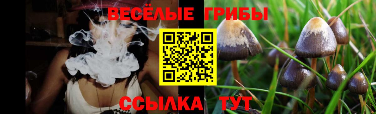 Псилоцибиновые грибы мицелий Учалы